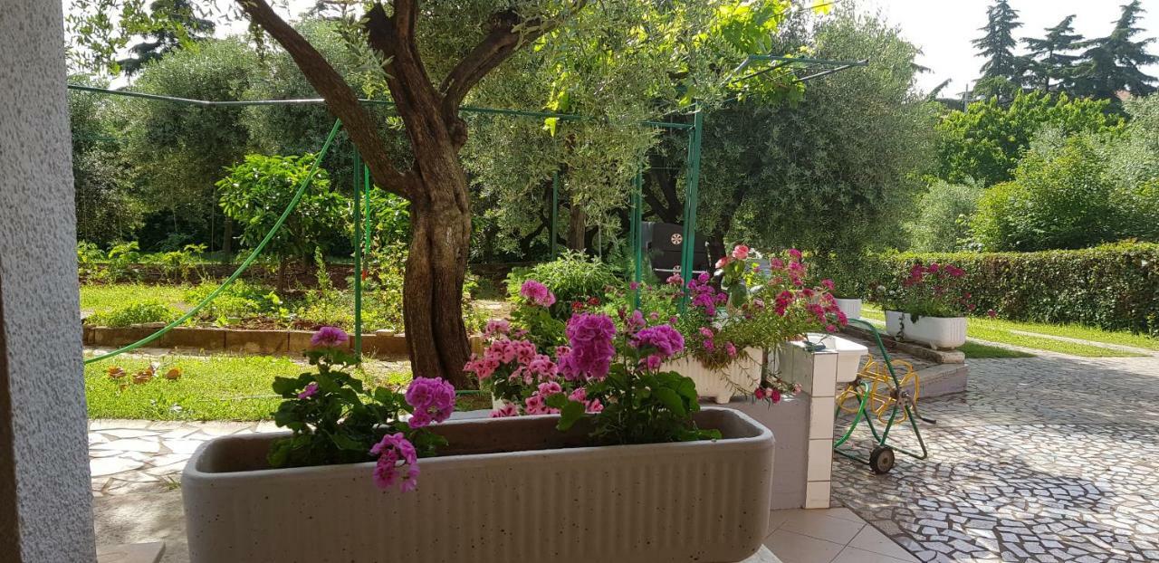 Clara 2 Apartment โปเรช ภายนอก รูปภาพ